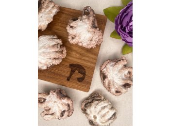 Freeze-dried Wild-Caught Baby Octopus
