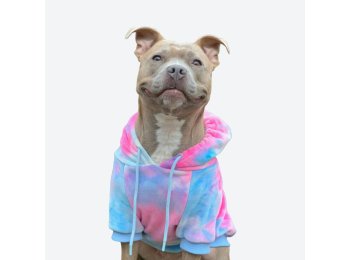 Velvet Dog Hoodie - Snow Cone 4XL