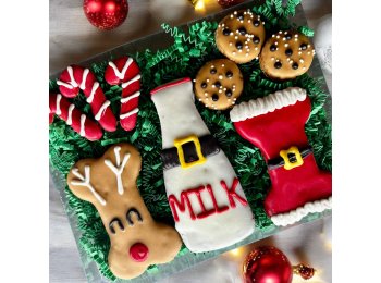 Treats for Santa Paws & Friends dog treats GIFT BOX