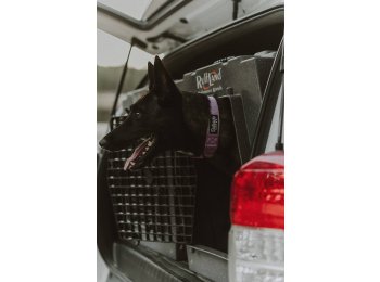 Lilac Premium Dog Collar Large