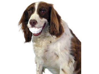 Humunga Chomp Standard