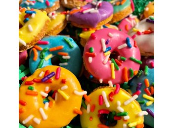 Mini 🍩 dog treats