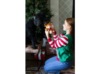 Reindeer Plush Rope Christmas Dog Toy