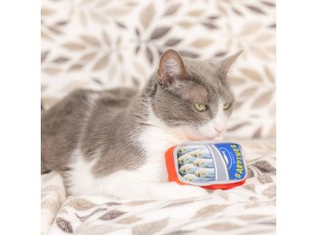 Sardine Tin For Cats