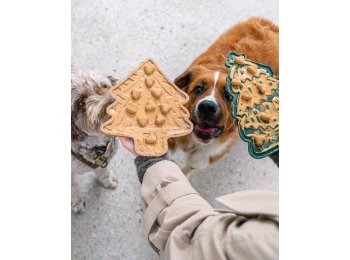 2 Piece Cookie Tree & Spatula Set