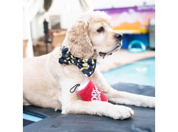 Dr Pooper For Dogs LG