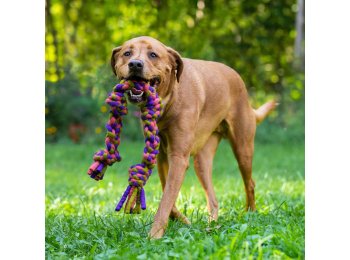 Dharma Dog Toy, Knotted Rope Pull, Purple/Green 15