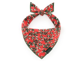Rifle Paper Co. x TFD Mistletoe Dog Bandana Medium