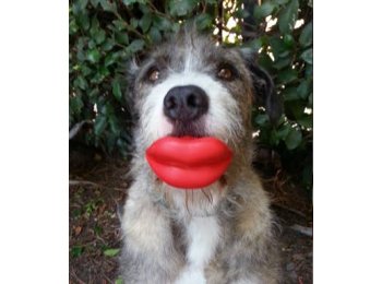 Humunga Lips Standard