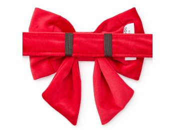 Cranberry Velvet Lady Dog Bow Small