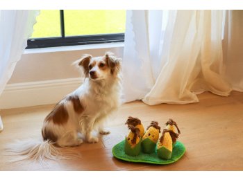 Corn Maze Snuffle Toy