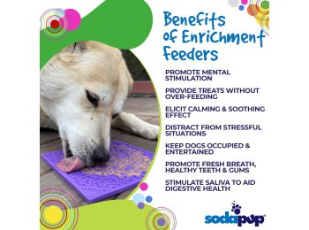 Bones Design Emat Enrichment Licking Mat Red Bones E-mat