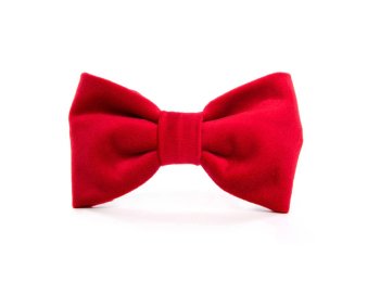 Cranberry Velvet Dog Bow Tie Large