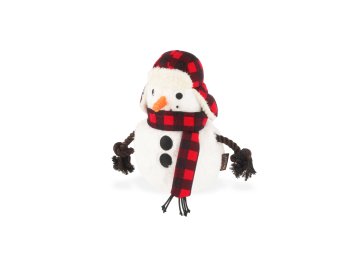 Home for the Holidays - Blizzard Buddy