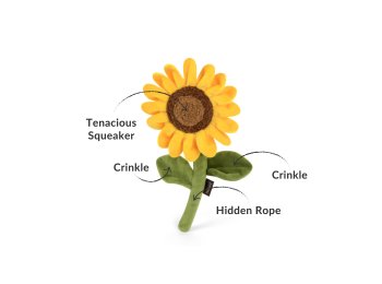 Blooming Buddies - Sassy Sunflower