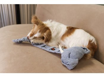 Trunk or treat Snuffle Toy