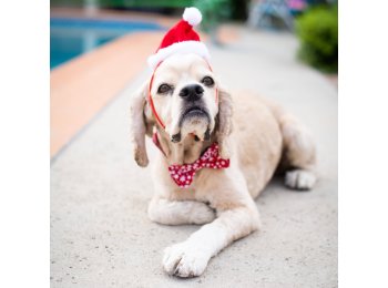 H&K Hat Santa with SnugFit® LG