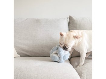 WHOLESALE MONTI//ENRICHMENT DOG TOY Oat