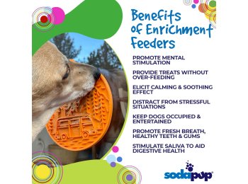 Camp eMat Enrichment Lick Mat With Suction Cups Orange