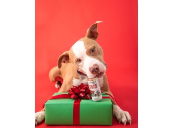 Holiday Mini Tube: Stocking Stuffer - Dog Treats