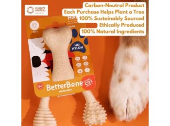 BetterBone Hard Classic Dog Chew Toy Large