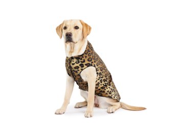 Stretch Fleece Sizes 14-30 Cheddar