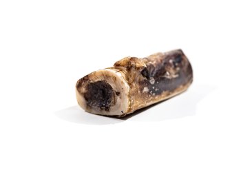 Bison Marrow Bone - 4"