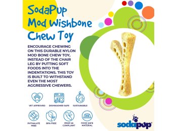 MOD Wishbone Ultra Durable Nylon Dog Chew Toy for Aggressive