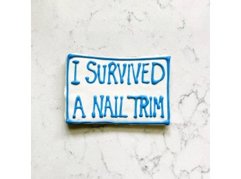 Spaw Day Cookies I Survived a Nail Trim Cookie