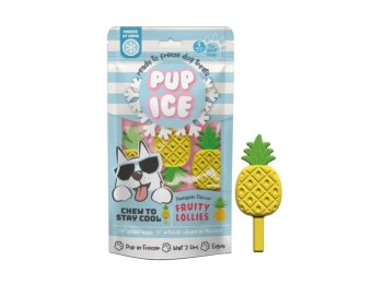 Pup Ice Fruity Lollies Pineapple 3 Pk
