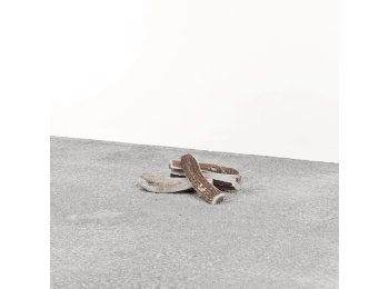 Primal Dog Stag Antler Small