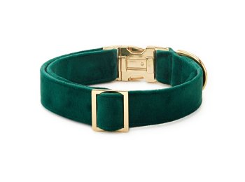 Forest Green Velvet Holiday Day Dog Collar S Gold
