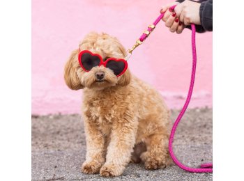 Hot Pink Marine Rope Dog Leash Petite 5 feet