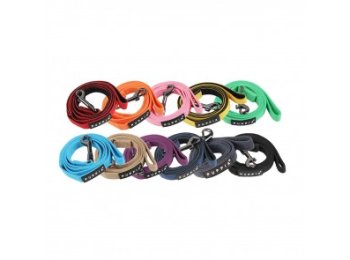 Puppia Soft Two Tone Lead Small Yellow