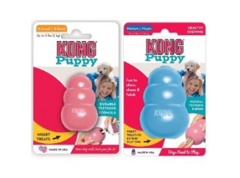Kong Puppy Small
