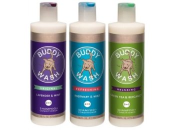 Buddy Biscuits Buddy Wash 2-in-1 Shampoo + Conditioner 16oz Lavender & Mint