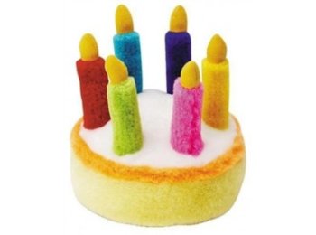 Multipet 6 Candle Birthday Cake