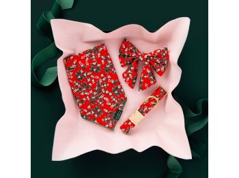 Rifle Paper Co. x TFD Mistletoe Dog Collar X-Small