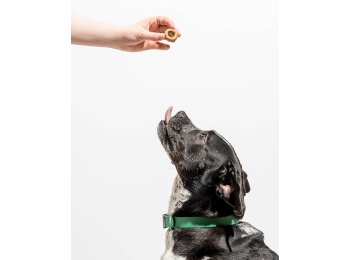 Organic PB&J Vegan Baked Dog Treats