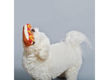 Hand Knit Hot Dog