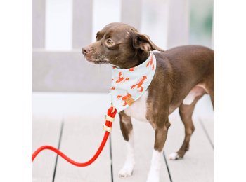 Ruby Marine Rope Dog Leash 5 Feet