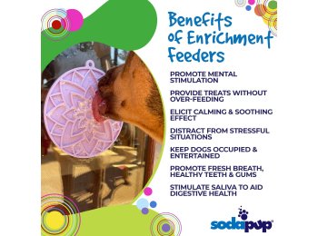 Lotus eMat Enrichment Lick Mat With Suction Cups Light Pink