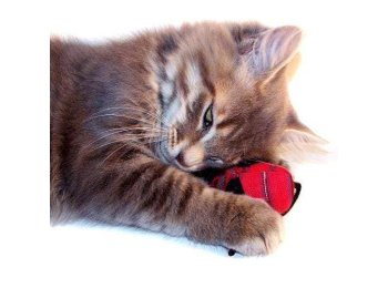 Organic Catnip Mice
