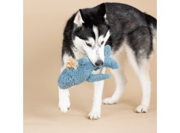 WHOLESALE EARTH FRIENDLY DOG TOY OH WHALE
