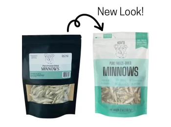 Freeze-Dried Salmon Cat Treats