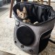 "The Fat Cat" Mini Cat Backpack - Bubble Pet Carrier