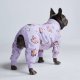 Dog Pajama - When Pigs Fly M
