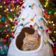 Holiday Tree Wool Pet Cave White