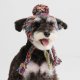 Knit Pom Pom Dog Beanie Hat - Kaleidoscope M (15-45lbs/7-20kg)