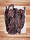 Beef Heart